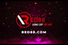 RED88 – Nhà cái cá cược nói không với lừa đảo – Xác thực độ uy tín  – Update 1/2023