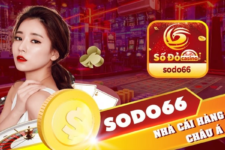  Sodo66 – Nhà cái đẳng cấp vươn tầm quốc tế